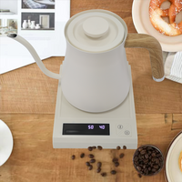 700Ml Cerat Gaya Jepang Baja Tahan Karat Ketel Listrik Ketel Air Panas Teh Tuang Di Atas Ketel Leher Angsa Kopi Tetes