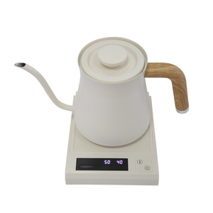 Ketel Kopi Elektrik Kontrol Suhu Variabel 0,7L Teko Teh Kopi Buatan Putih Tuang Di Atas Ketel Kopi Tahan Karat