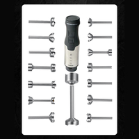 Stainless Steel Electric Blender Adving Rob Tahan Tahan Hand tangan OEM